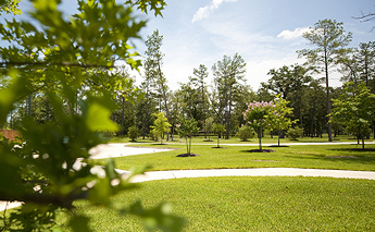 Benders Landing Estates Lakefront Lifestyle